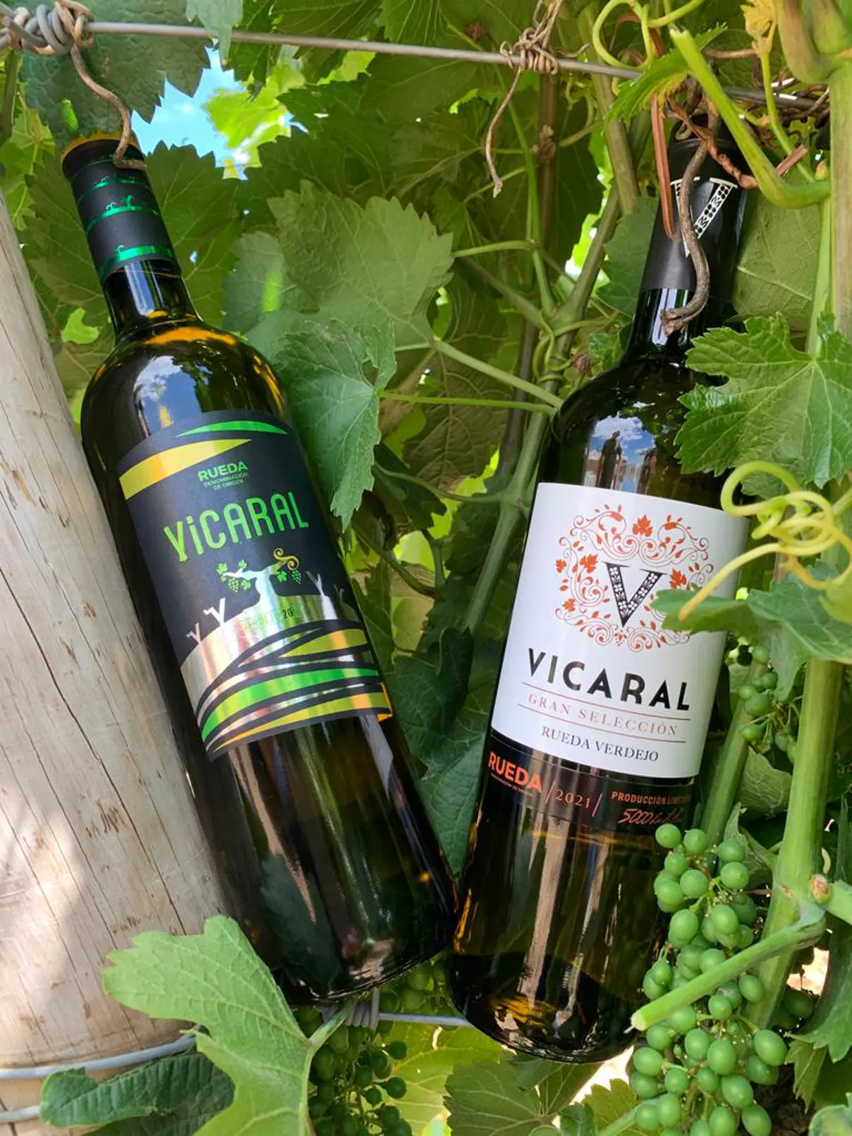 Bodegas y Vinedos Vicaral vinos.webp